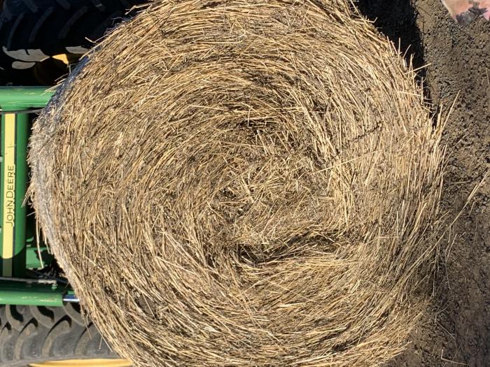 Large 4 x 4 round bales of grass hay